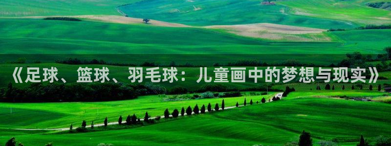 vsport体育官方正版app代理:《足球、篮球、羽毛球:儿